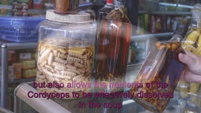 虫草吃法英语Rare and rare wild pure natural Chinese medicinal materials from the Qinghai-Tibet Plateau смотреть онлайн