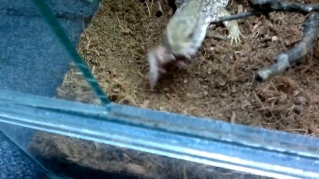 25072011043.mp4 смотреть онлайн