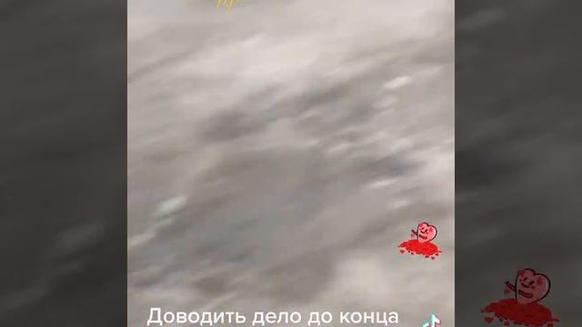 Проект муравей 2.0 продолжается смотреть онлайн