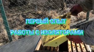 21 день изоляции маток.Результат