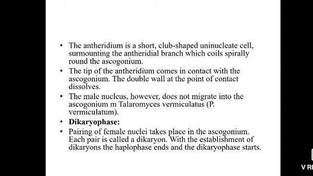Dr. Pratima Shrivastava, B. Sc part I, Paper I, Unit IV, Penicillium смотреть онлайн