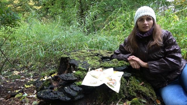 Tajemnice grzybów cz. 1 смотреть онлайн