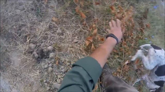 Nella Pelle Di Un Tartufaio! Vivi L'esperienza Live
