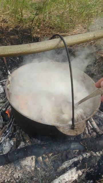 Animal Kingdom Expedition