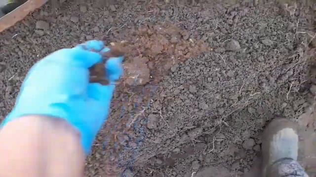 Для чего нужна ТРИХОДЕРМА. Применение ТРИХОДЕРМЫ весной. смотреть онлайн