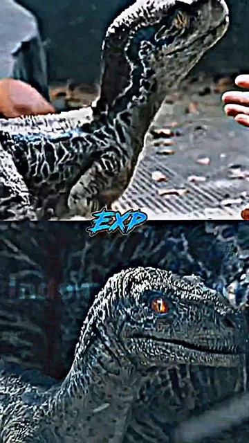 Baby Blue The Velociraptor Vs Beta The Velociraptor (Jurassic World Edit) смотреть онлайн