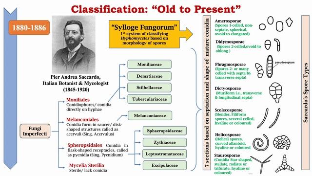 Mitosporic Fungi, Status Of Asexual Fungi And Their Teleomorphic Relationship