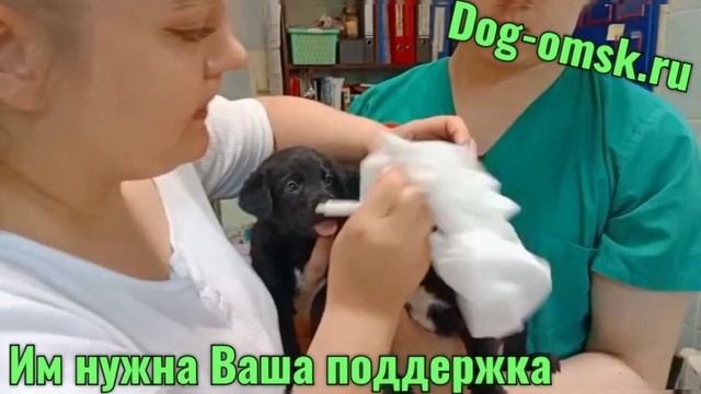 Крошки сегодня смотреть онлайн