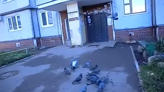 НЛО ПОСАДКА смотреть онлайн