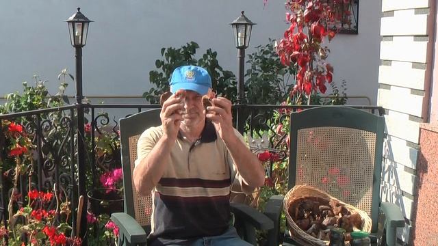 Грибы  12   09 19