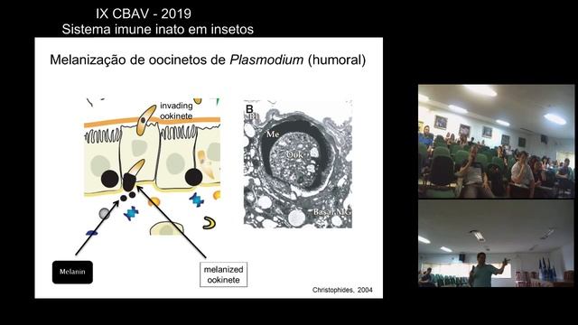 Imunidade Inata de mosquitos contra patógenos смотреть онлайн