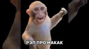 РЭП ПРО МАКАК //ОФИЦИАЛЬНАЯ ПЕСНЯ//