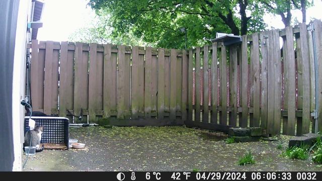 Roger Still Not Minding His Own Business смотреть онлайн