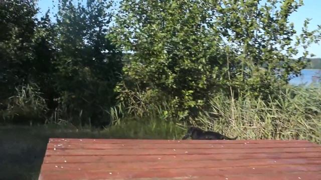 00084 Lilaste (LV) смотреть онлайн