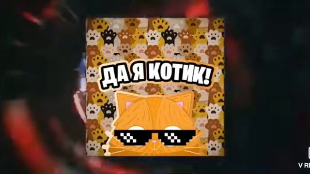Да я котик смотреть онлайн