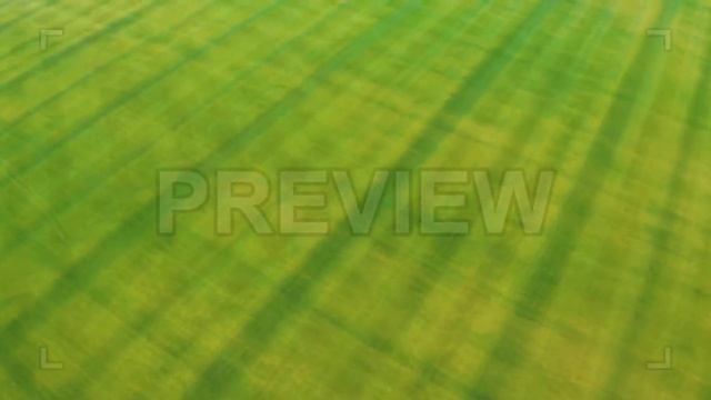Lush Green Grass Stock Video смотреть онлайн