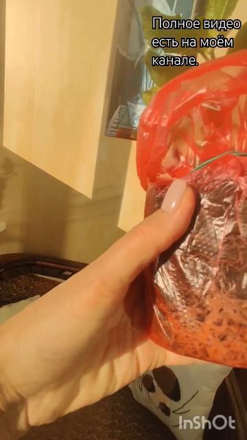 Обзор гортензии из Леруа Мерлен.