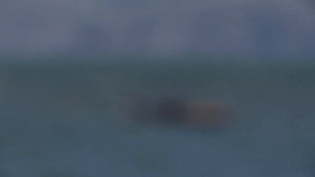 Мое измененное видео смотреть онлайн