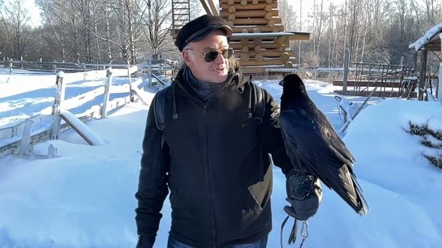 общение с тотемом смотреть онлайн
