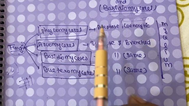 Kingdom Fungi | Biological Classification Class 11th Biology For NEET