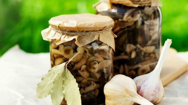 ГРИБЫ СОЛЁНЫЕ НА ЗИМУ.