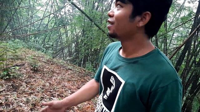 dapat jamur barat jenis ini lansung di awetkan смотреть онлайн