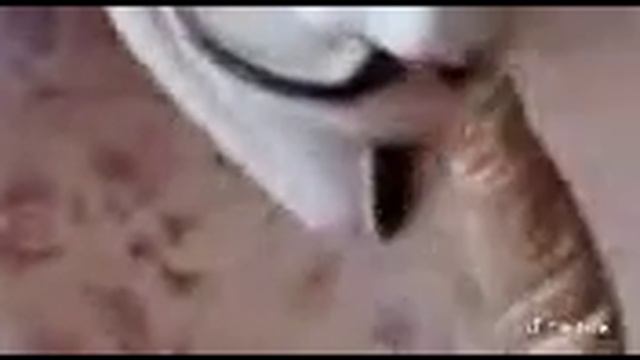 Снюсовая Змея🐍 смотреть онлайн