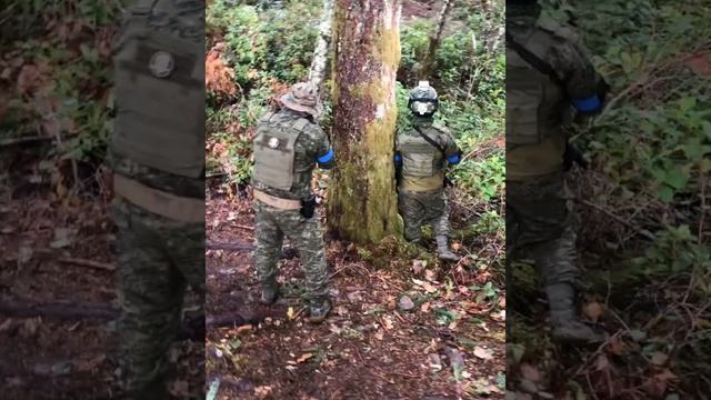 Airsoft Adventure смотреть онлайн