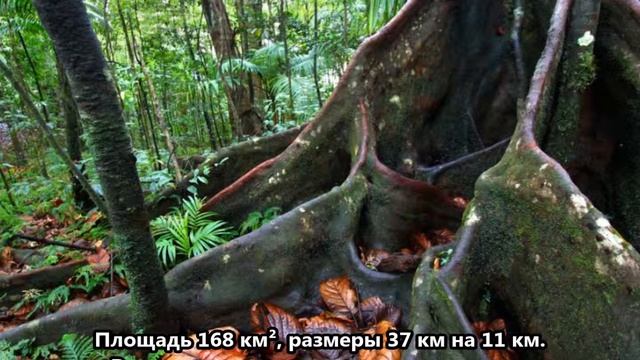 V47TR Остров Сент Китс. С сайта dxnews.com смотреть онлайн