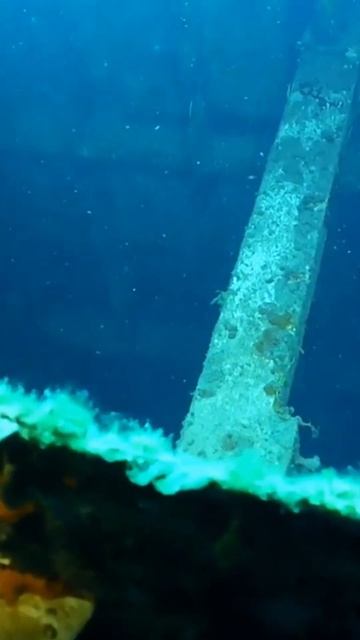 Short: Scuba Diving Grand Cayman USS Kittiwake Part 3 смотреть онлайн