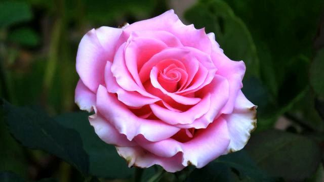 Радуга новых хитов музыки и видео онлайн смотреть онлайн