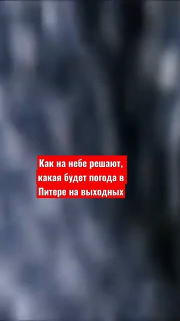 🌧️ У природы - нет плохой погоды, верно? #английский #english #разговорныйанглийский смотреть онлайн
