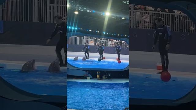 26 February 2024 смотреть онлайн