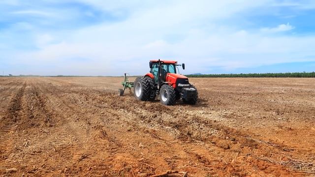 CASE PUMA 180 TRACTOR Motor Amazing Sound 2020 Hiếm Gặp Gía 2,7 TỶ MÁY CÀY TÂY NINH смотреть онлайн