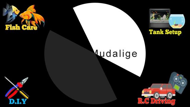 Extra Video смотреть онлайн