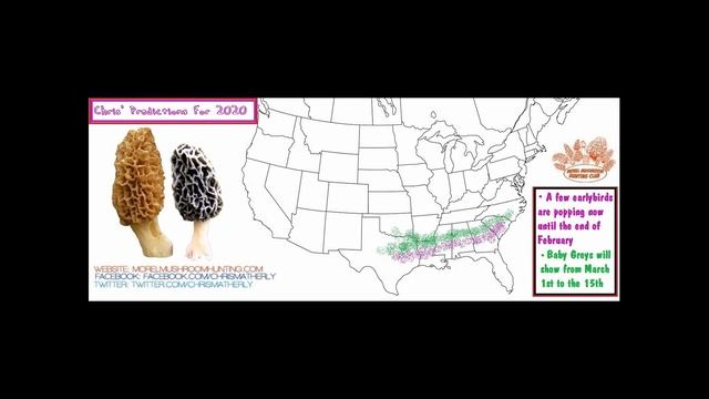 The 2020 Morel Mushroom Season Has Now Started!