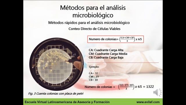 Métodos De Análisis Microbiológicos P2