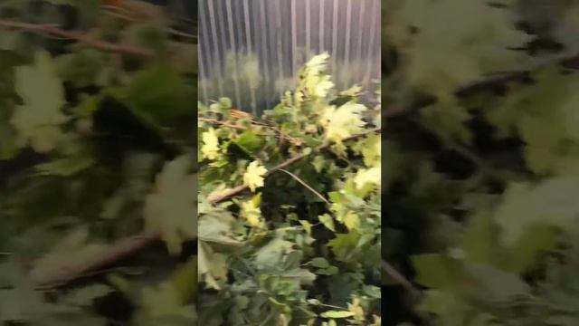 Первый день работы на участке смотреть онлайн
