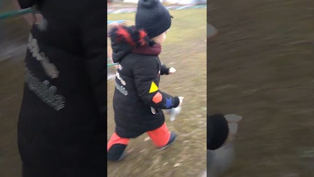 Ядовитые Черви 😱 смотреть онлайн