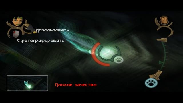 Фото Планария Рупестрис смотреть онлайн