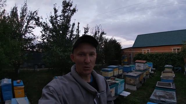 Лучший подарок конечно же мед! смотреть онлайн