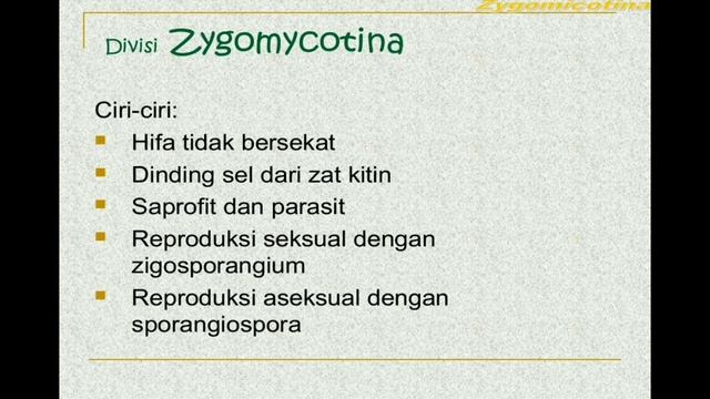 SMAN 1 Bandar Sribhawono_44_BIOLOGI FUNGI смотреть онлайн