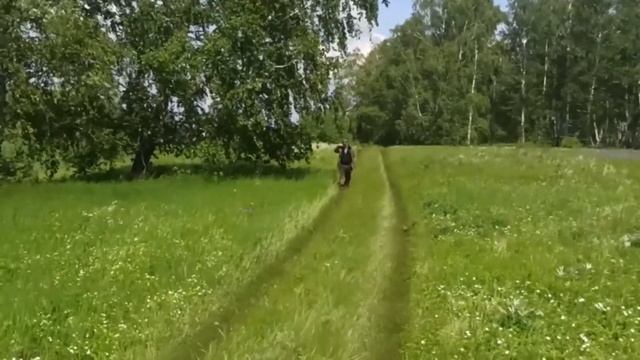 Сбор грибов! 👍 смотреть онлайн