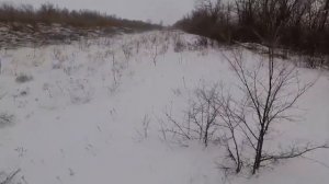 Ахота на зайца.С ружьём.