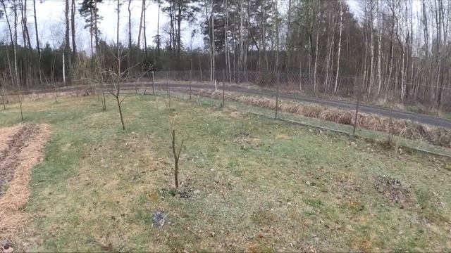 Za mała działka na ogród? Ile miejsca potrzeba do uprawy warzyw i owoców? Jak duży jest Szumilas? смотреть онлайн