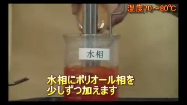 Phytopresome（フィトプレソーム）製品を使用したリポソーム処方例 смотреть онлайн