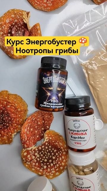 Курс Энергобустер 🍄Ноотропы грибы #мухомор #микродозинг #микродозингмухомора #ежовик смотреть онлайн