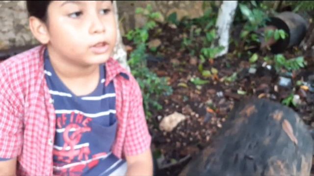 Liberación de polilla Leopardo смотреть онлайн