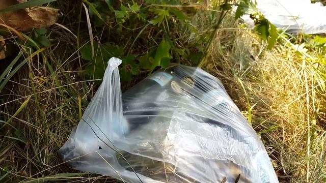 Львів Сихівський ліс миша ховрах смотреть онлайн