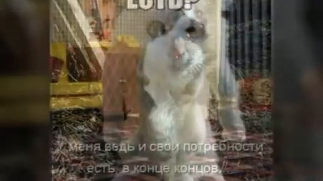 Подними настроение смотреть онлайн